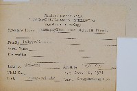 抱樹蕨、伏石蕨藏品圖，第2張