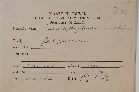 抱樹蕨、伏石蕨藏品圖，第2張