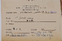 細葉複葉耳蕨藏品圖，第2張