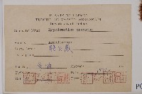 腫足蕨藏品圖，第2張