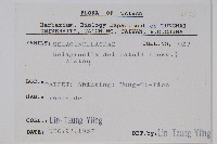 全緣卷柏藏品圖，第2張