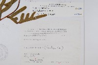 疏羽半邊旗藏品圖，第2張