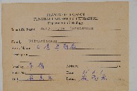 臺灣車前蕨藏品圖，第2張