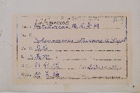 烏蕨藏品圖，第2張