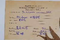 崖薑蕨藏品圖，第2張