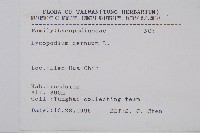 過山龍藏品圖，第2張