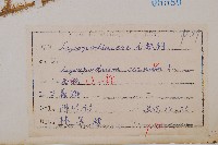 過山龍藏品圖，第2張