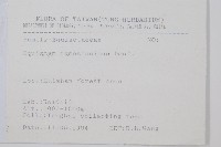 木賊藏品圖，第2張