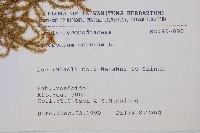 過山龍藏品圖，第1張