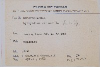 過山龍藏品圖，第2張