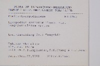 長柄千層塔藏品圖，第2張