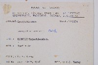 玉山石松藏品圖，第2張