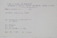 地刷子藏品圖，第2張