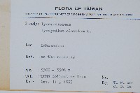 石松藏品圖，第2張