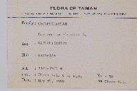 石松藏品圖，第2張