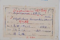 韓氏耳蕨藏品圖，第2張