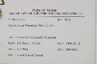 達邊蕨藏品圖，第2張