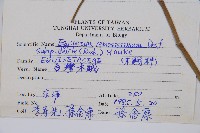 臺灣木賊藏品圖，第2張