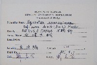 臺灣木賊藏品圖，第2張