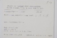 木賊藏品圖，第2張