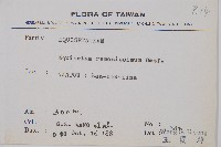 木賊藏品圖，第2張