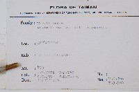 觀音座蓮藏品圖，第2張