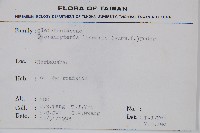 芒萁藏品圖，第2張