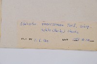 臺灣木賊藏品圖，第2張