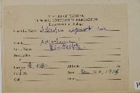 愛氏鐵線蕨藏品圖，第2張