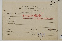 半月形鐵線蕨藏品圖，第2張
