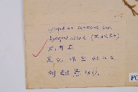 過山龍藏品圖，第2張