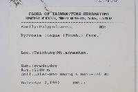 石葦藏品圖，第2張