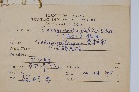 全緣卷柏藏品圖，第2張