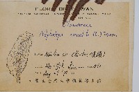 腎蕨藏品圖，第2張