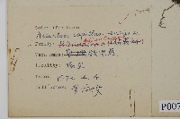 鐵線蕨藏品圖，第2張