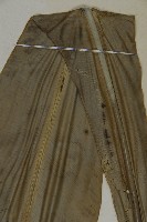 臺灣山蘇花藏品圖，第5張