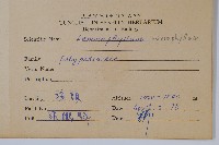 抱樹蕨、伏石蕨藏品圖，第2張