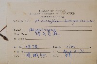 波氏星蕨藏品圖，第2張