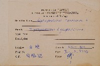 過山龍藏品圖，第2張