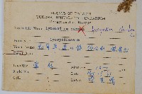 石松藏品圖，第2張