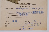 觀音座蓮藏品圖，第2張