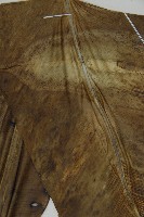 臺灣山蘇花藏品圖，第4張