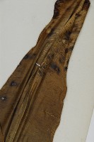 臺灣山蘇花藏品圖，第5張