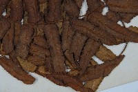 黑桫蕨藏品圖，第3張