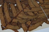 黑桫蕨藏品圖，第5張