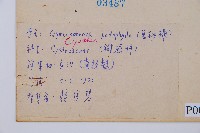 黑桫蕨藏品圖，第2張