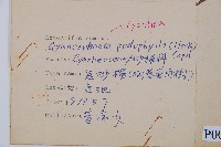 黑桫蕨藏品圖，第2張