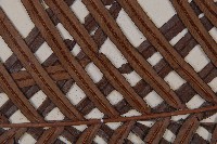 烏毛蕨藏品圖，第5張