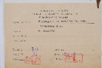 臺灣狗脊蕨藏品圖，第2張