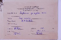 長生鐵角蕨藏品圖，第2張